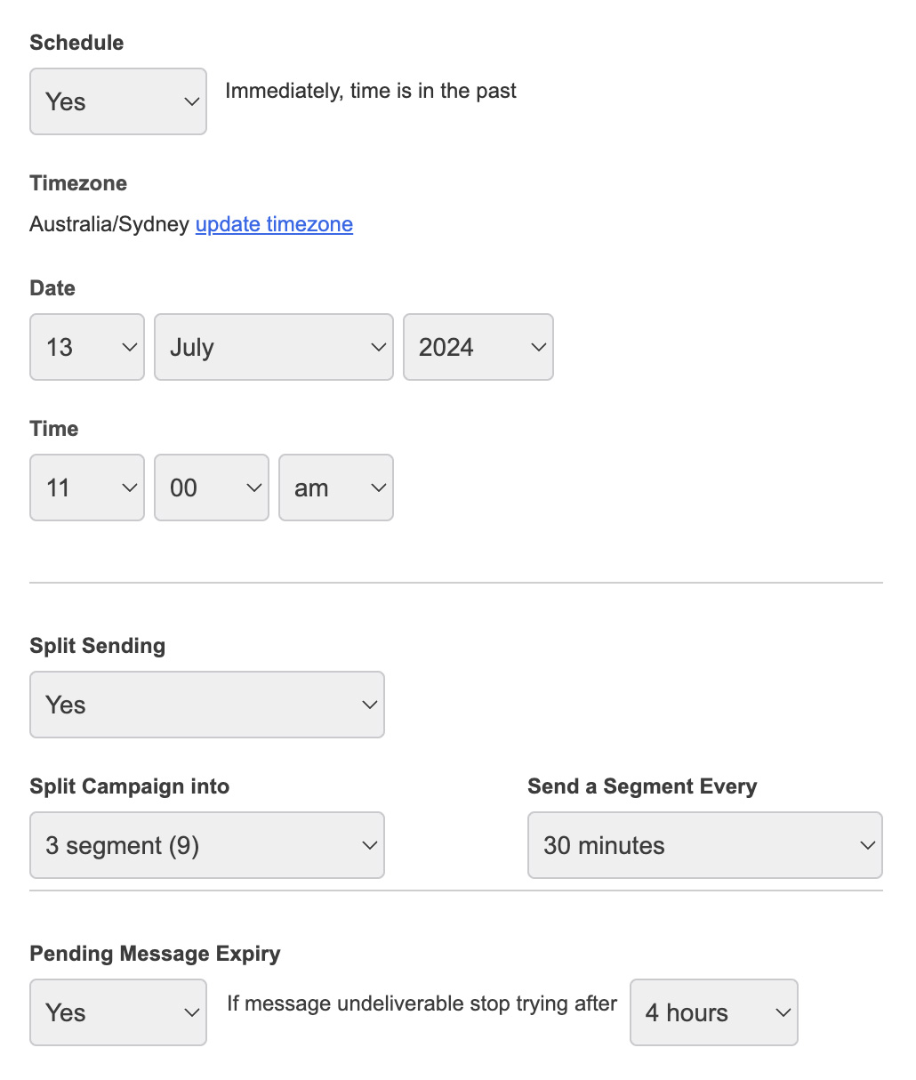 Send SMS - Scheduling Options